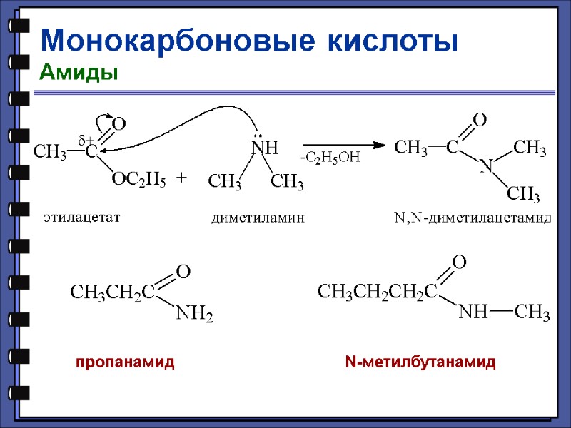 Монокарбоновые кислоты Амиды N-метилбутанамид пропанамид
